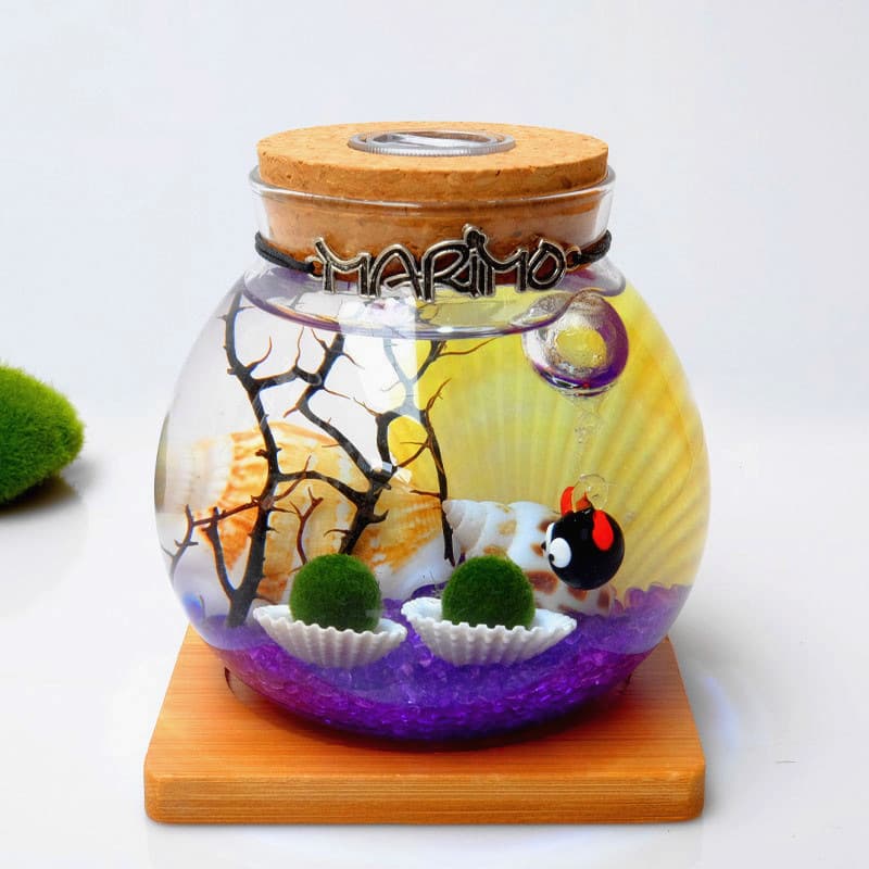 Garrafa ecológica micro-paisagem Bola de algas felizes multi-versão garrafa micro-paisagem Versão atualizada por atacado da garrafa ecológica - imagem 2