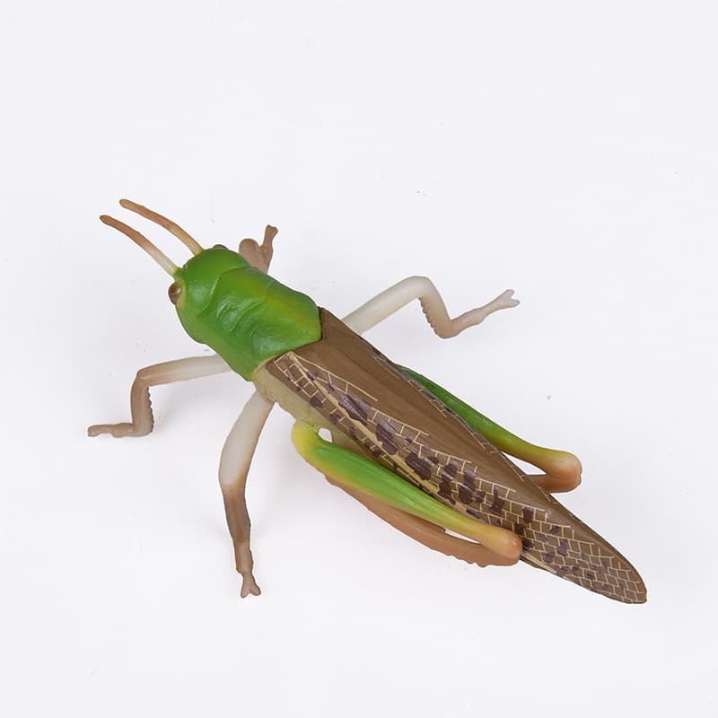 Amostra realista de plástico com borboleta, modelo animal, libélula - imagem 3