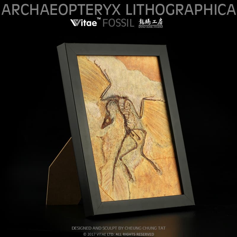 Dinossauro, esqueleto, moldura, decorações, período Jurássico, tiranossauro Rex, fóssil, decoração de casa - imagem 3