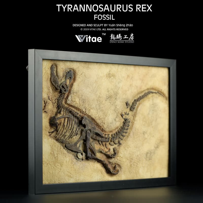 Dinossauro, esqueleto, moldura, decorações, período Jurássico, tiranossauro Rex, fóssil, decoração de casa - imagem 2