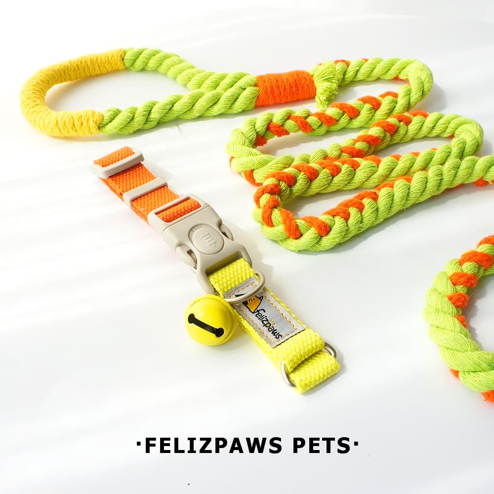 [Liberação especial] Coleira para cães de estimação com design original O fabricante transfronteiriço mais popular da Amazon Comércio exterior atacadista - imagem 4