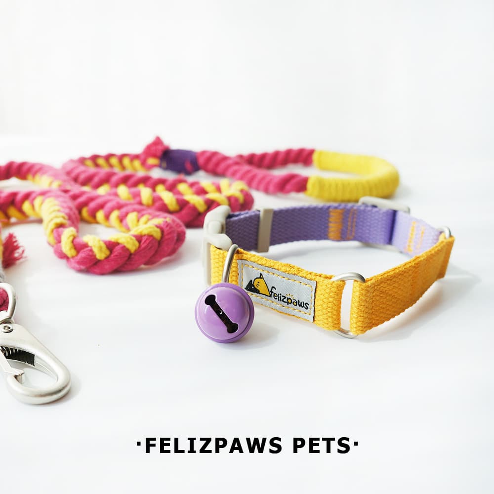 [Liberação especial] Coleira para cães de estimação com design original O fabricante transfronteiriço mais popular da Amazon Comércio exterior atacadista - imagem 5
