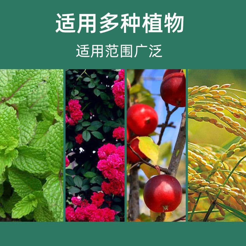 Ativação do solo tesouro fonte mineral potássio ácido fúlvico escarificador fertilizante solúvel em água fertilizante flor anti-endurecimento melhorador ativador de solo - imagem 4