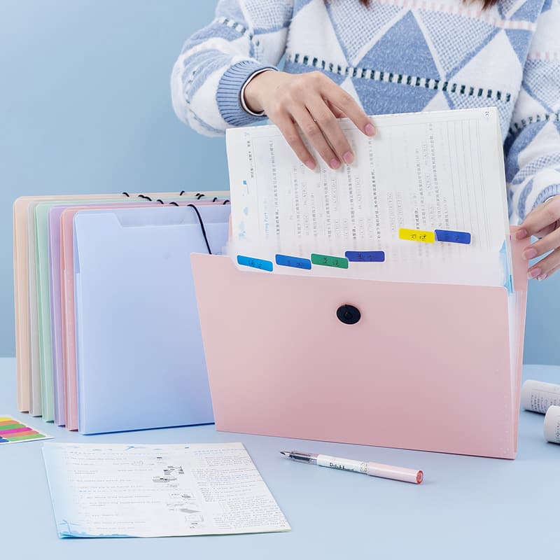 Pasta, órgão, bolsa para documentos, sistema de armazenamento multicamadas - imagem 5