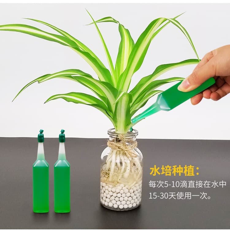 Solução nutritiva para plantas no atacado, fertilizante líquido universal para flores e plantas verdes, fertilizante foliar hidropônico, solução nutritiva rica em bambu - imagem 4