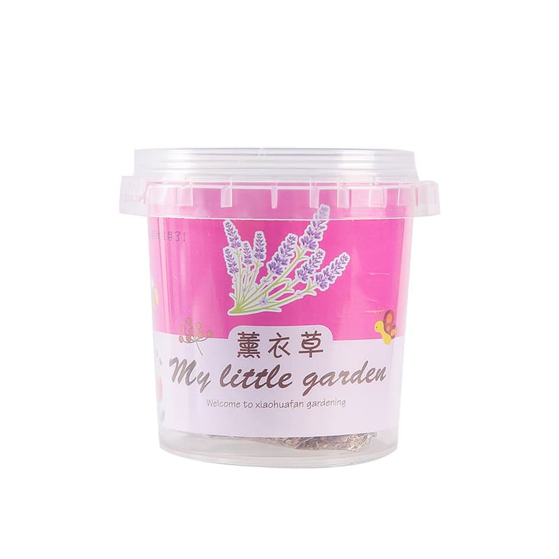Pequeno vaso de presente do jardim de infância plantio interno sementes de flores estudante desktop planta verde vaso escola abertura presente caixa cega - imagem 6