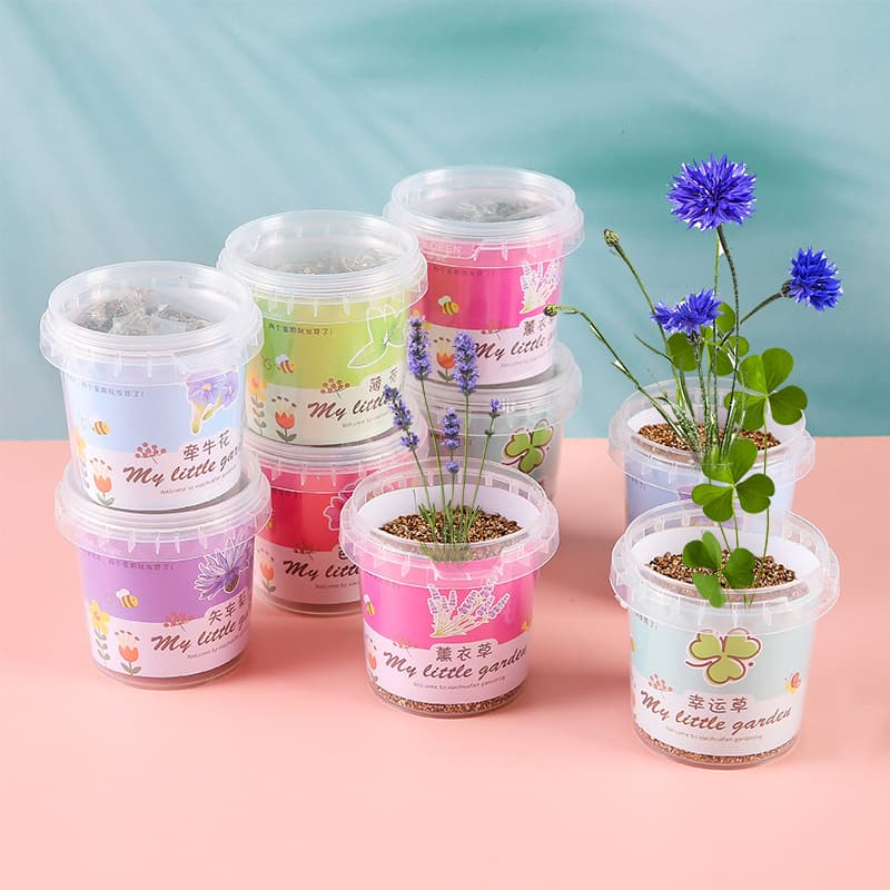 Pequeno vaso de presente do jardim de infância plantio interno sementes de flores estudante desktop planta verde vaso escola abertura presente caixa cega - imagem 1