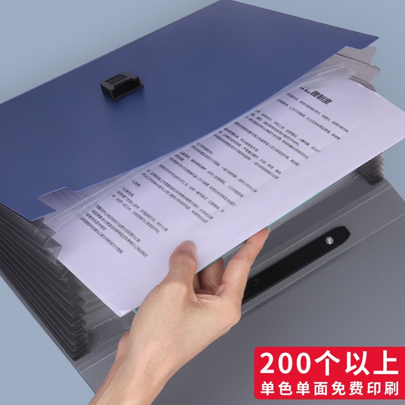 Órgão portátil, bolsa para documentos, sistema de armazenamento, pasta de plástico, presente de aniversário, maior espessura - imagem 3