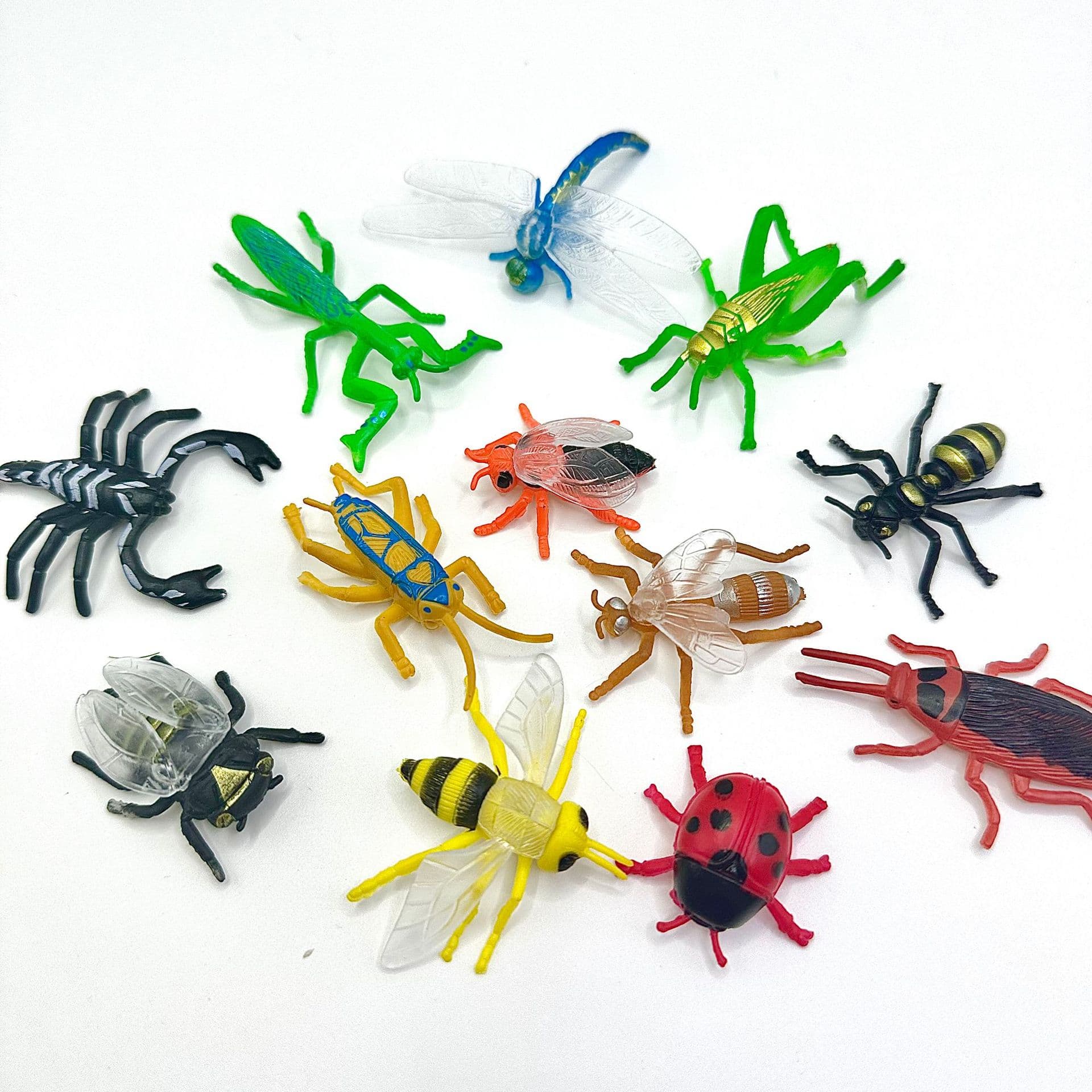 Modelo animal realista em PVC, Amazon, educação infantil, libélula, centopéia - imagem 3