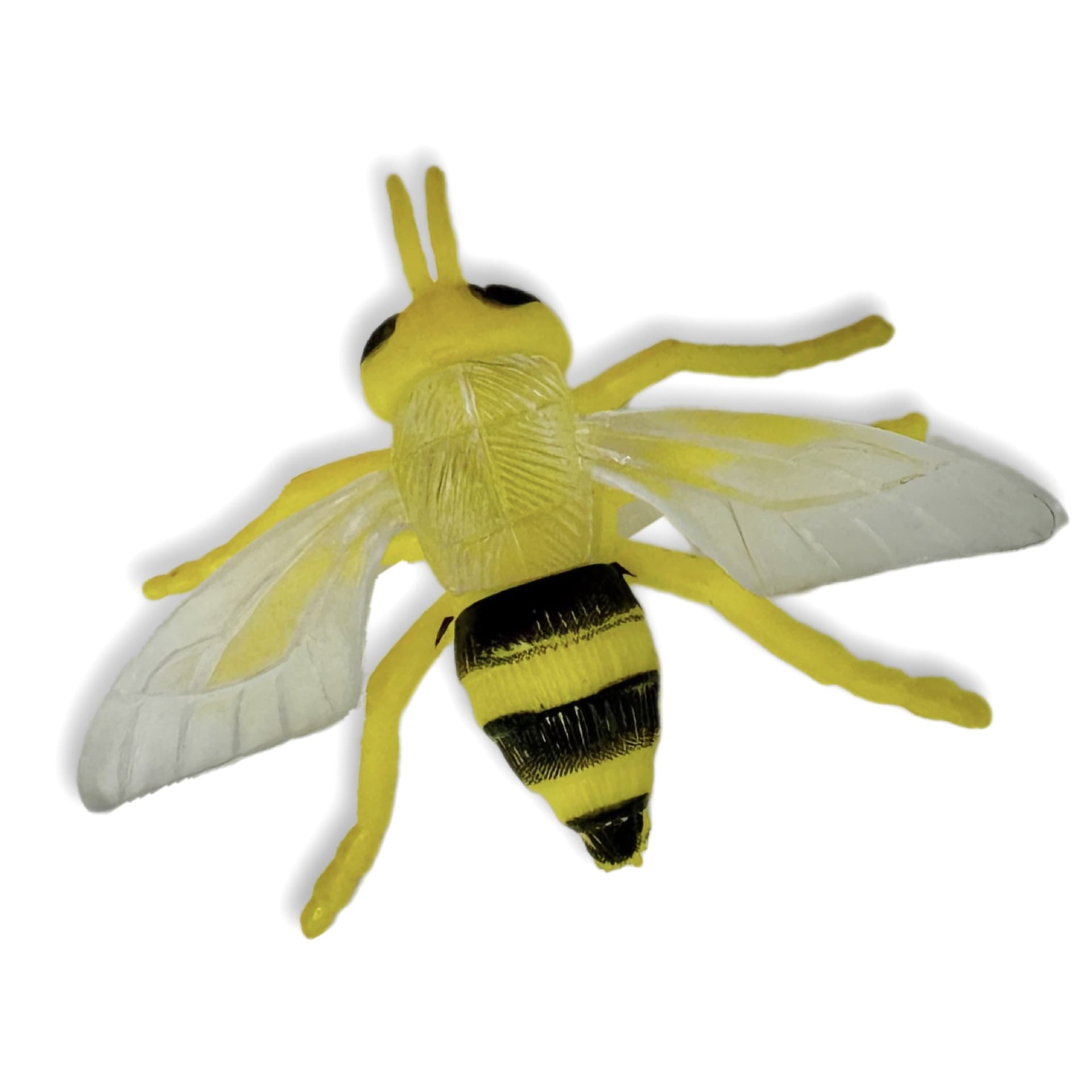 Modelo animal realista em PVC, Amazon, educação infantil, libélula, centopéia - imagem 6
