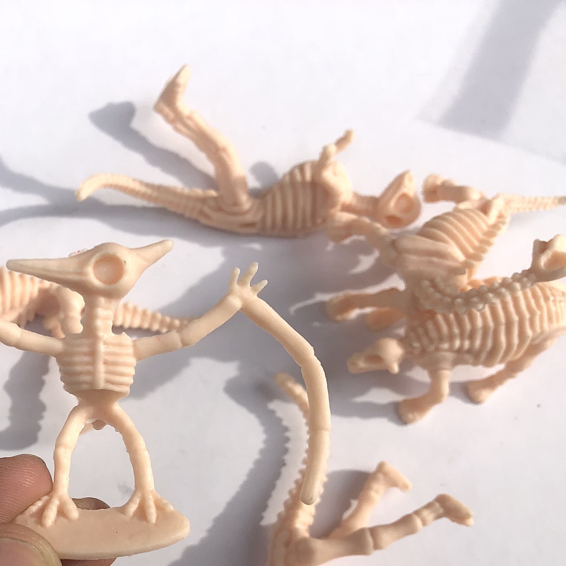 Dinossauro, esqueleto realista arqueológico, fóssil, tiranossauro Rex - imagem 3