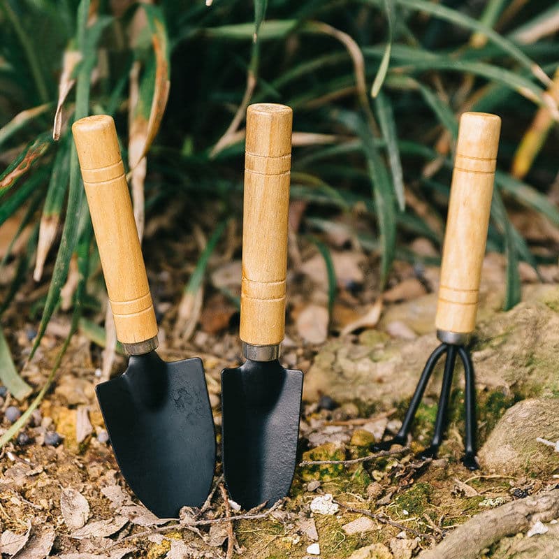 Conjunto de mini ferramentas de jardinagem de três peças Ferramenta de jardim de jardinagem Conjunto de três peças Suculenta pequena pá/ancinho/pá ferramenta de plantio de flores - imagem 4