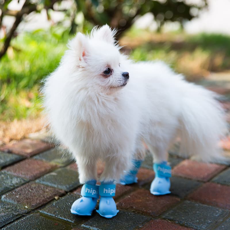 Sapatos de cachorro de desenho animado Pomeranian Bichon Teddy conjunto de 4 botas de chuva à prova d'água capas de pés botas de chuva de silicone para animais de estimação - imagem 5