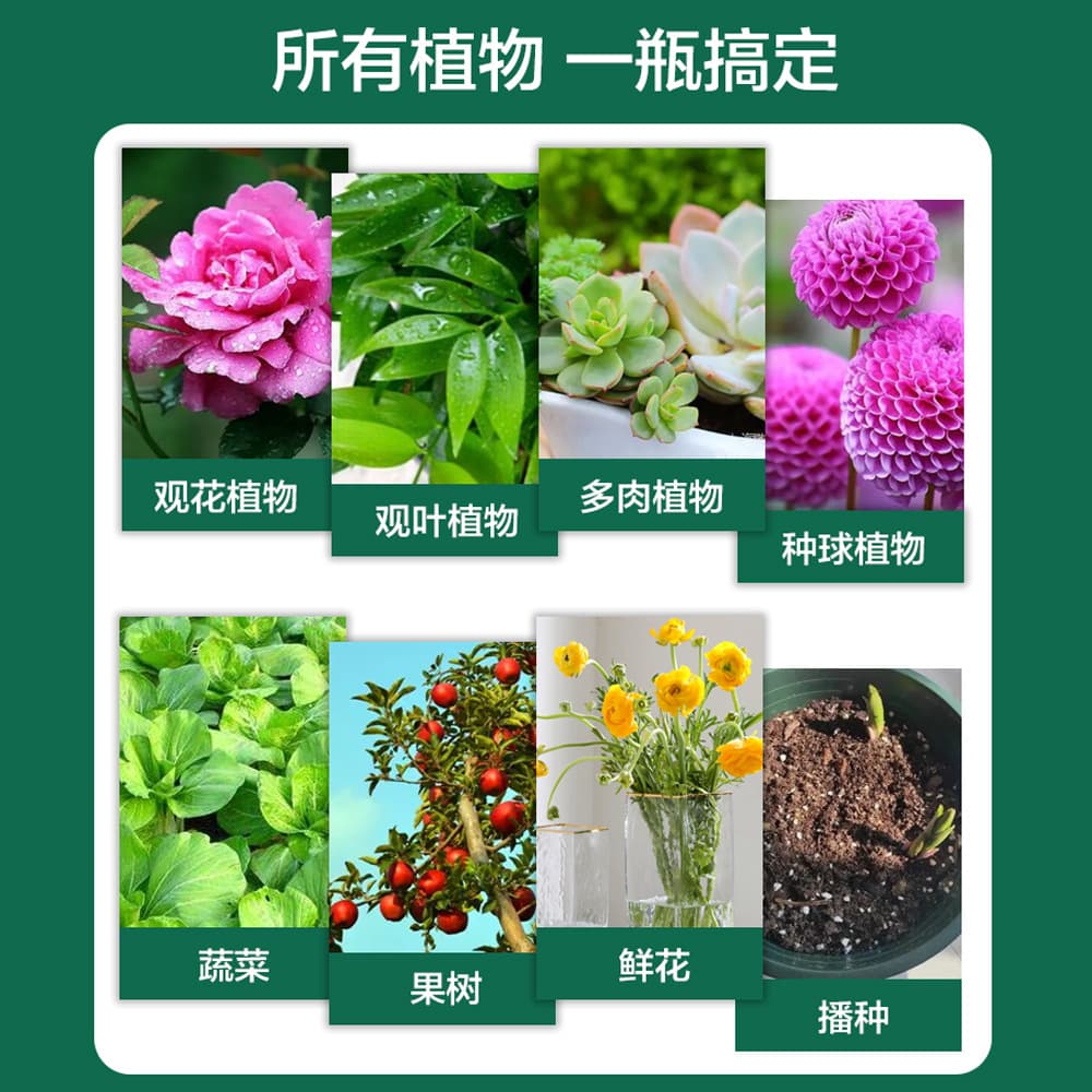 [植物活力素生长花卉绿植通用营养液生根液 缓释肥壮根 植物营养液] - imagem 5