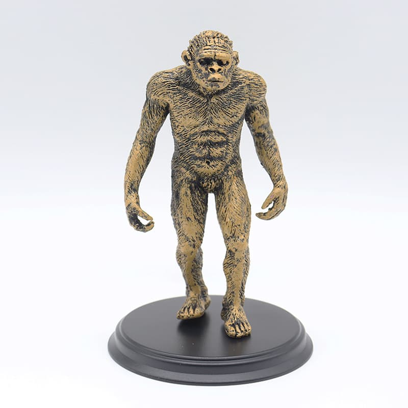 Material didático, história da origem e evolução humana, homem primitivo, modelo de plástico simulado de homem-macaco, fabricante pronto para venda - imagem 3