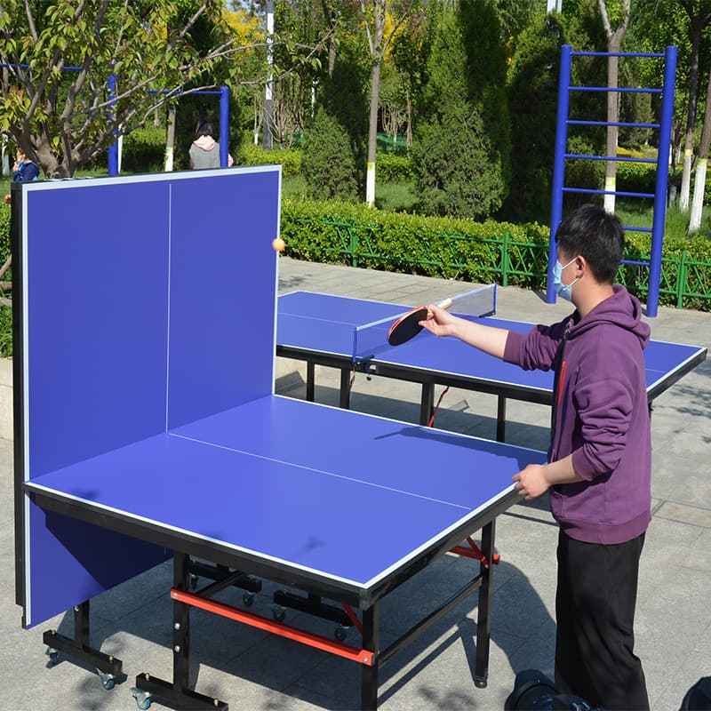 Mesa dobrável para tênis de mesa para adultos para academia, (Física) - imagem 1