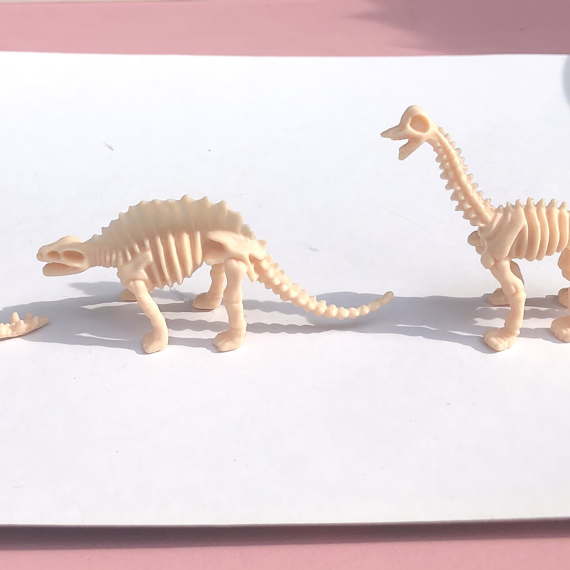Dinossauro, esqueleto realista arqueológico, fóssil, tiranossauro Rex - imagem 4