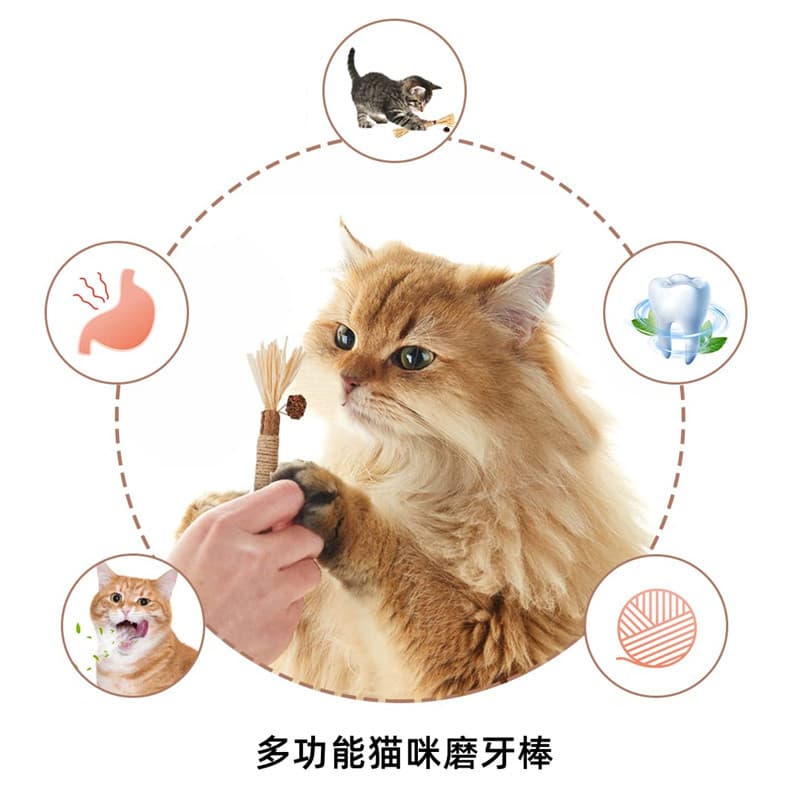 Brinquedo, mordedor de hortelã para mordida correta, animal de estimação, gato, pode morder - imagem 4