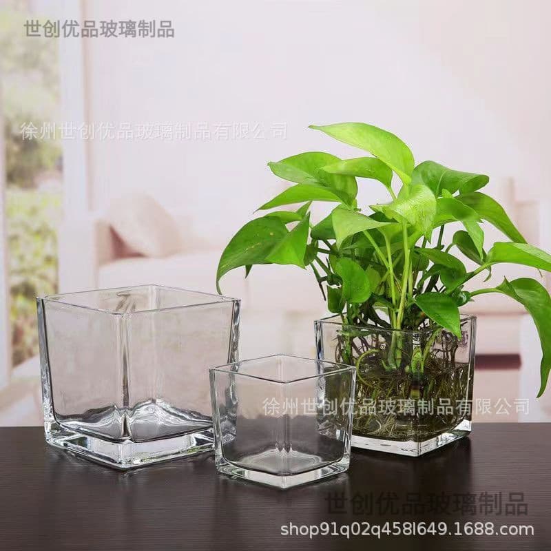 Vaso de flores hidropônico simples, vaso quadrado de vidro suculento, transparente, rabanete verde, planta de água, tanque de tartaruga, tanque quadrado - imagem 5