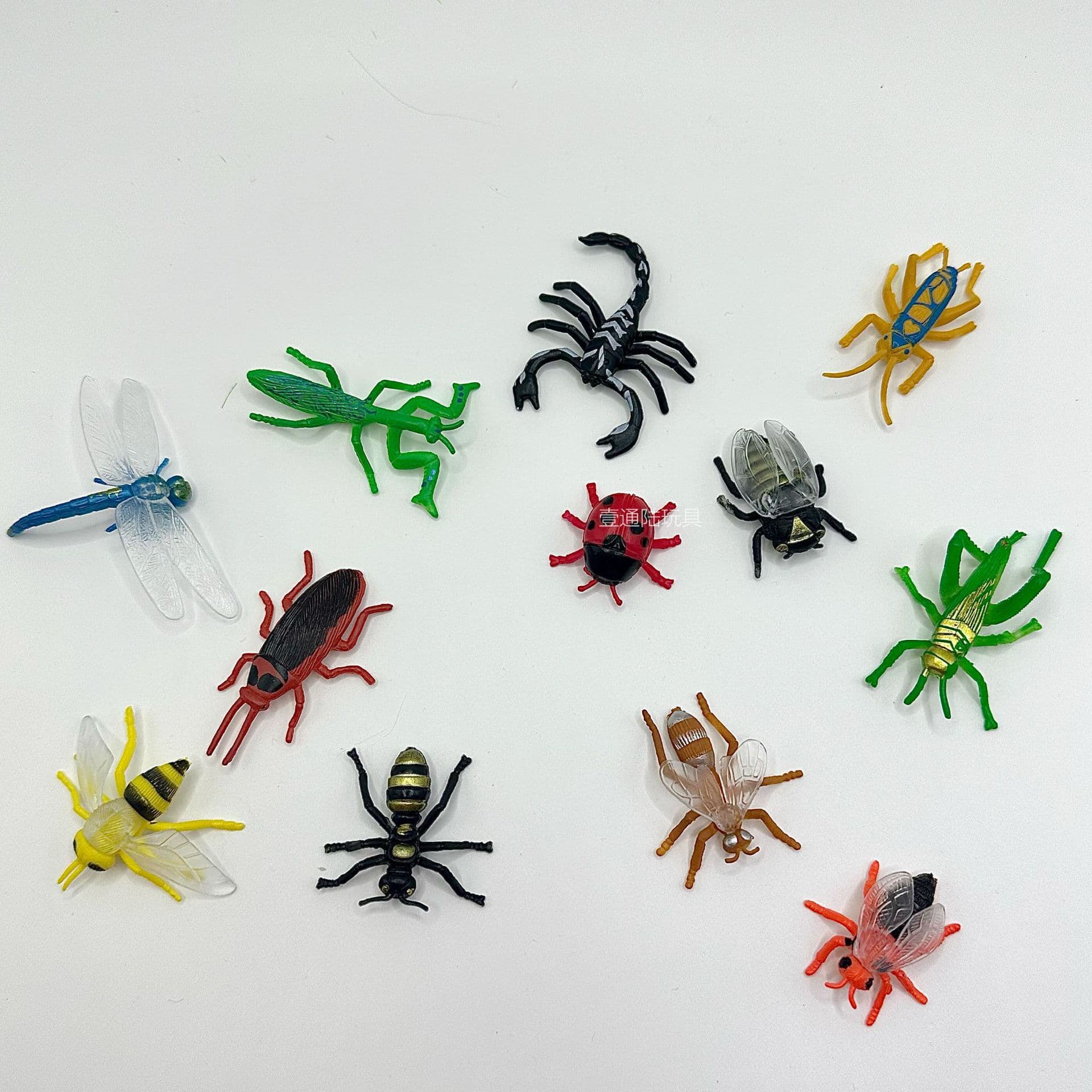 Modelo animal realista em PVC, Amazon, educação infantil, libélula, centopéia - imagem 5