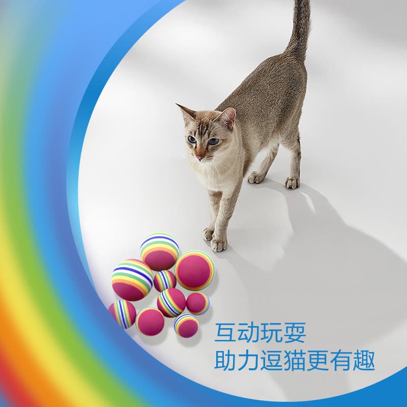 [Rainbow toy, bouncy ball, cat, pet, kitten] - imagem 4
