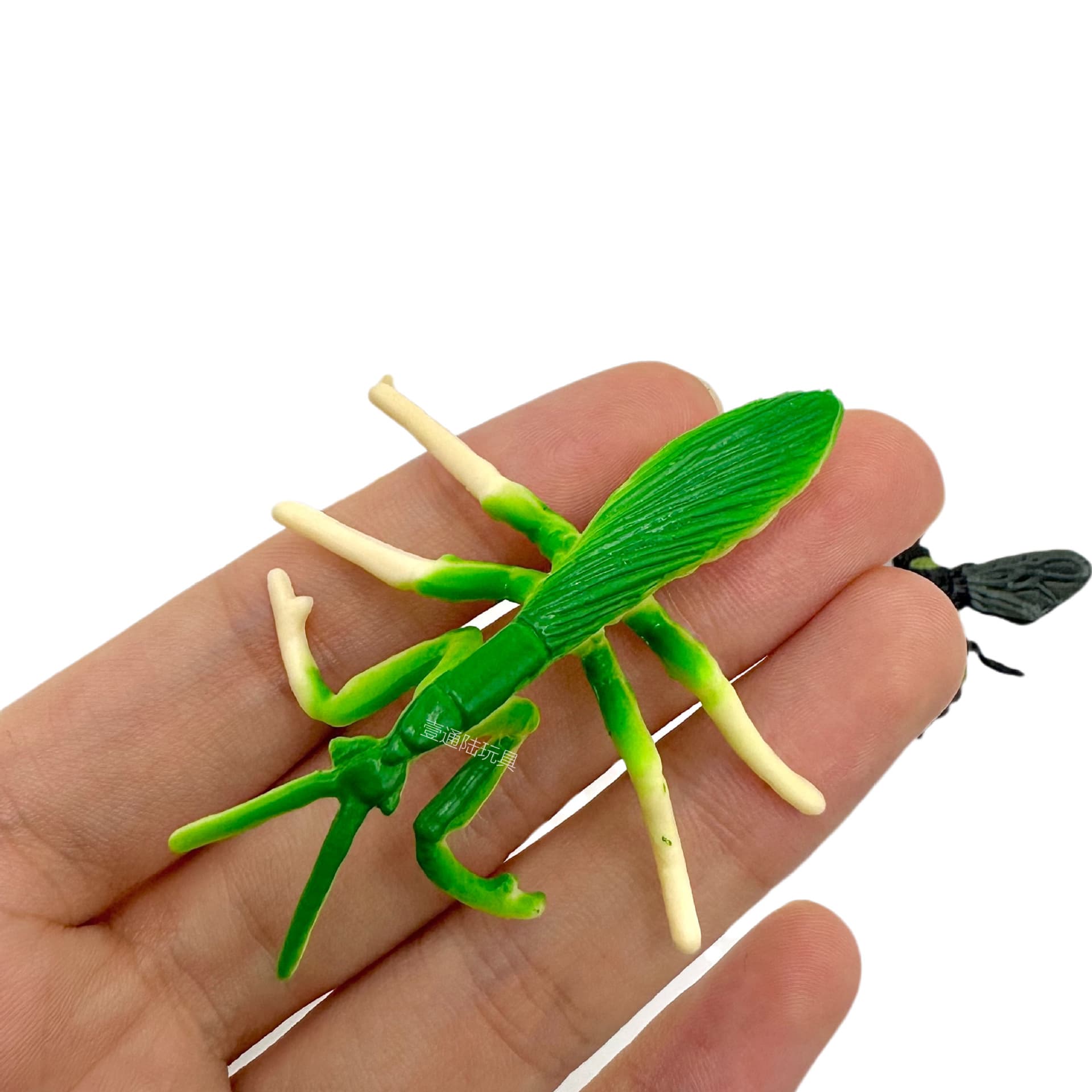 Comércio exterior nova simulação de insetos 12 modelos de insetos reais em pvc escorpião aranha borboleta enfeites de mesa de areia atacado - imagem 5