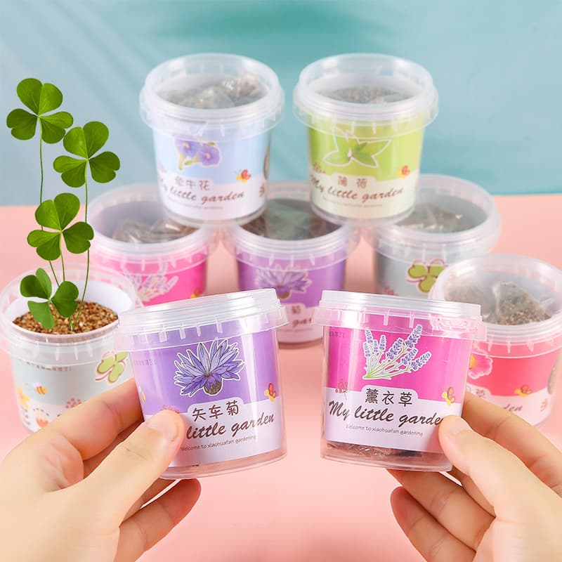 Pequeno vaso de presente do jardim de infância plantio interno sementes de flores estudante desktop planta verde vaso escola abertura presente caixa cega - imagem 3
