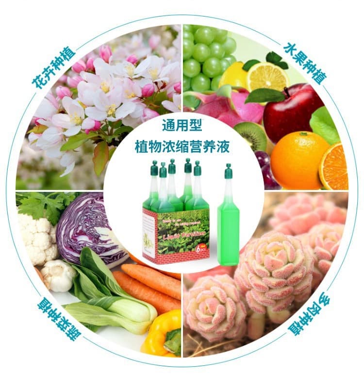 Solução nutritiva para plantas no atacado, fertilizante líquido universal para flores e plantas verdes, fertilizante foliar hidropônico, solução nutritiva rica em bambu - imagem 5