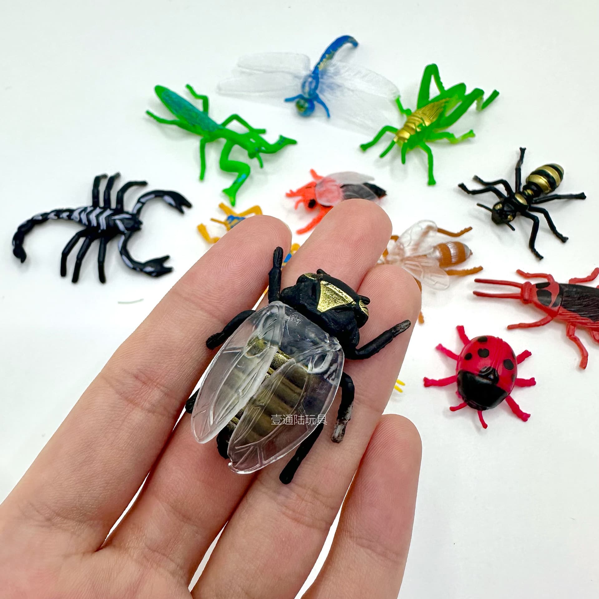 Modelo animal realista em PVC, Amazon, educação infantil, libélula, centopéia - imagem 4