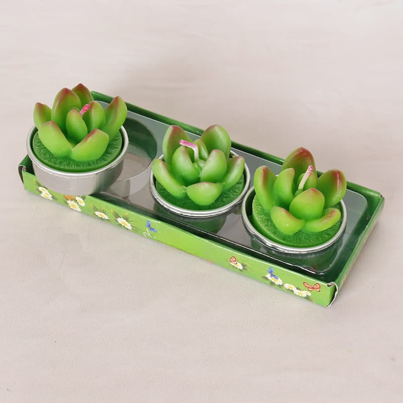 Estilo floresta pequenas plantas verdes suculentas flores tealight enfeites de decoração de cena doméstica para remover cheiro de fumaça velas de parafina de plantas - imagem 4