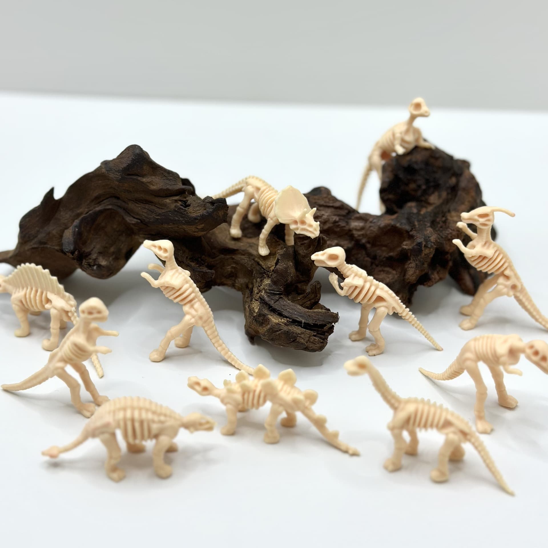 Brinquedo arqueológico, dinossauro, pequeno esqueleto com acessórios, fósseis, escavações arqueológicas - imagem 4