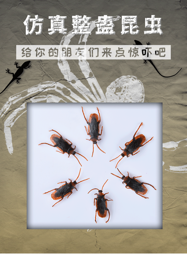 未标题-1-恢复的-拷贝_01.gif