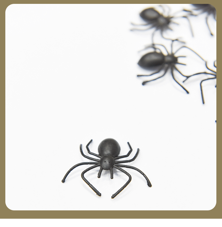 Untitled-1-Recovered-Copy_07.gif