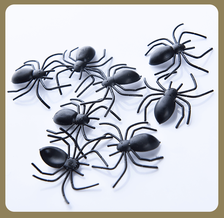 Untitled-1-Recovered-Copy_06.gif
