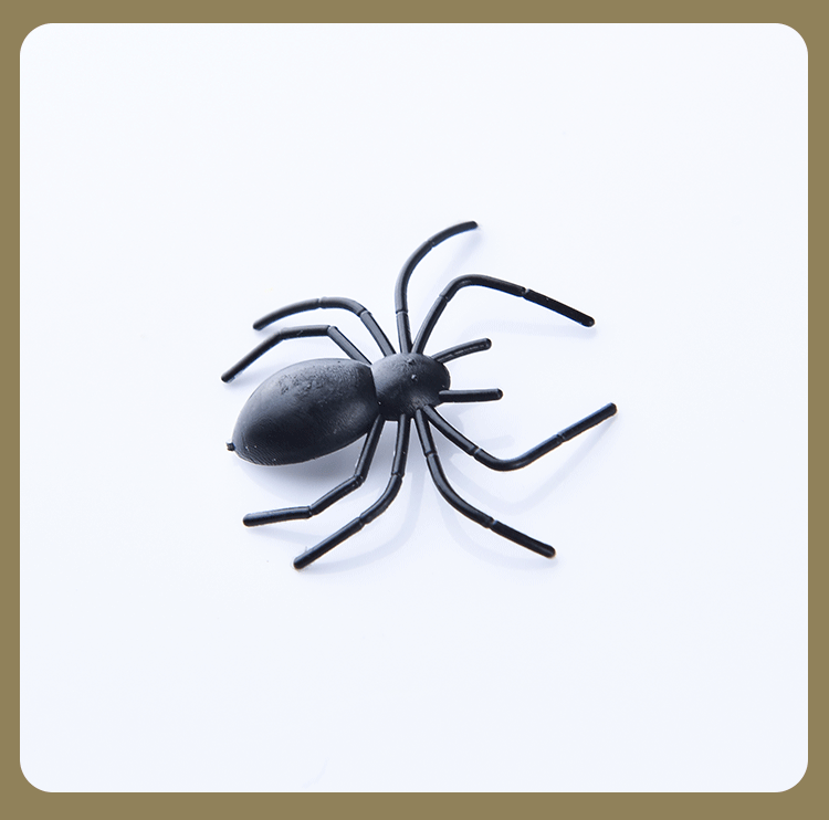 Untitled-1-Recovered-Copy_04.gif